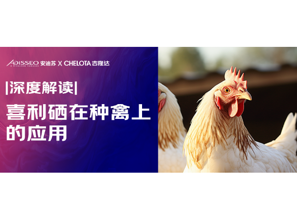 ��Ƚ�� |��ϲ�������ǻ������������������ϵ�Ӧ��